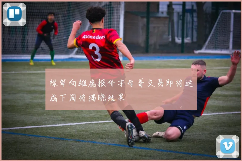 绿军向雄鹿报价字母哥交易即将达成下周将揭晓结果