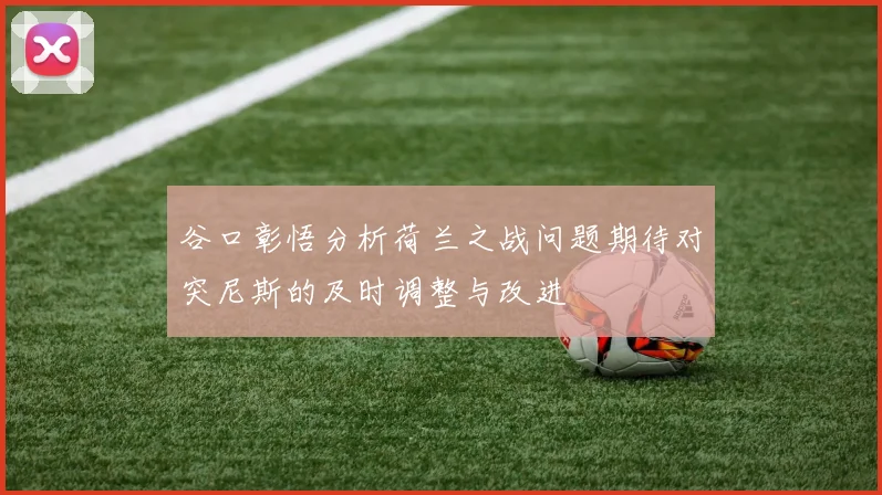 谷口彰悟分析荷兰之战问题期待对突尼斯的及时调整与改进
